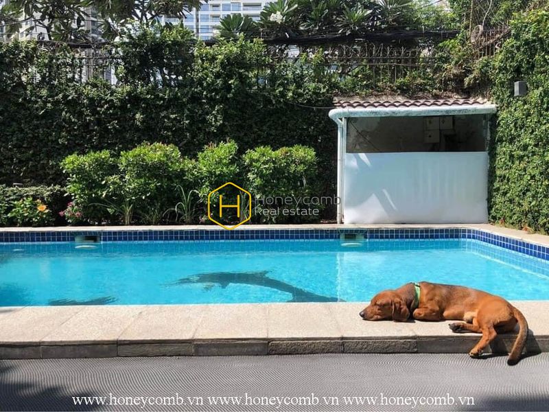 Such an opulent villa that everyone has dreamed about in District 2