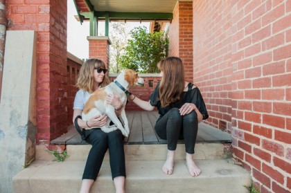 How to: Find a rental property when you have pets