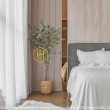 https://www.honeycomb.vn/vnt_upload/product/07_2026/thumbs/420_QT_7_1.jpg