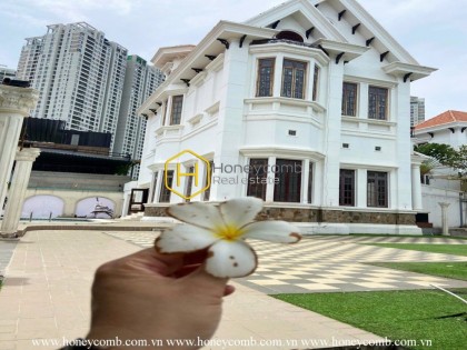 Không còn gì tuyệt vời hơn khi thức dậy trong ngôi nhà mang không khí trẻ trung năng động này ở Thao Dien