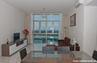 Nice furnished The Vista 3 bedrooms apartment with river